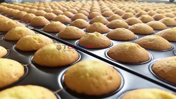 Yarı-Otomatik Kurabiye ve Cupcake Üretim Hattı